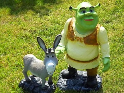 Shrek si magarul