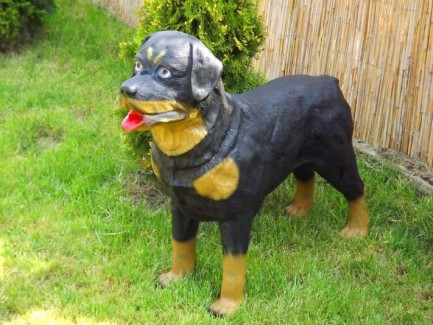 Caine Rottweiler