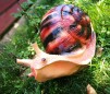 Melc decor