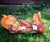 Decor Veverite