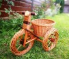 Suport flori din rachita  - bicicleta