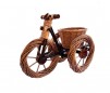 Suport flori din rachita  - bicicleta
