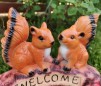 Veverite Welcome decor gradina