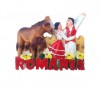 Magnet cu tarani - Romania